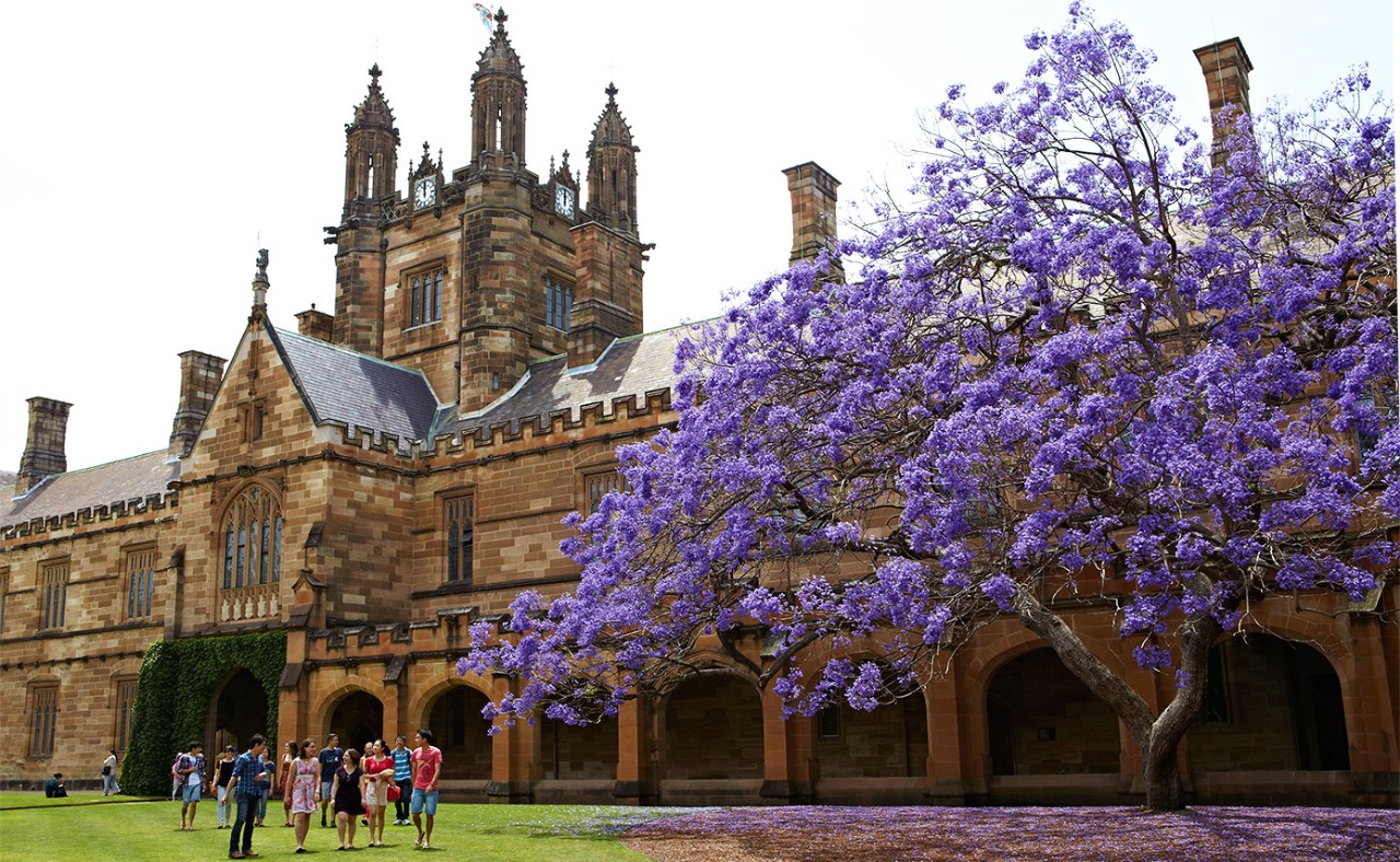 Học bổng Vice Chancellor’s International Scholarships University of Sydney, Australia...